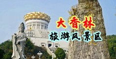 插少妇视频了中国浙江-绍兴大香林旅游风景区