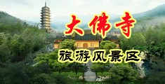 插漂亮的女的穴中国浙江-新昌大佛寺旅游风景区